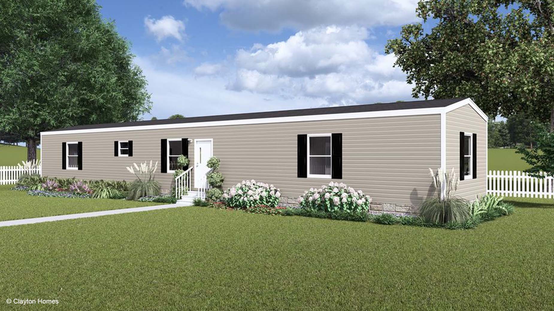 Birch Rendering